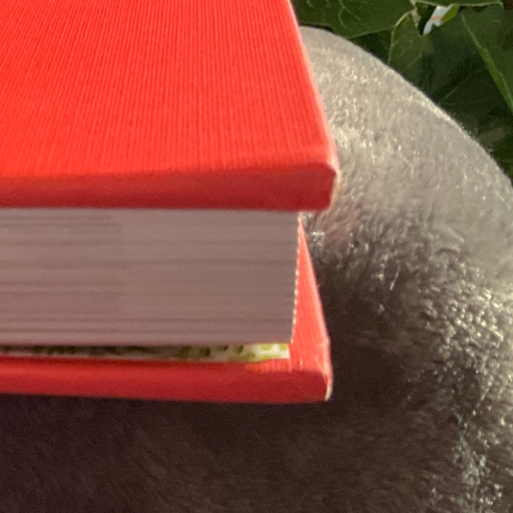 Signed Copy of Living Floral by Margot Shaw - Picture 11 of 15